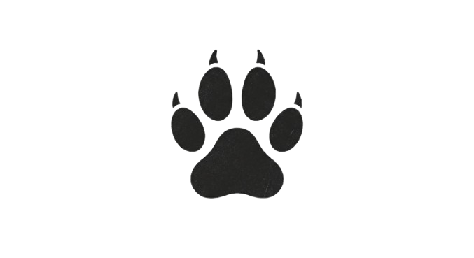 PetCare Logo